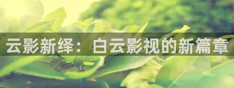 樱桃影院下载